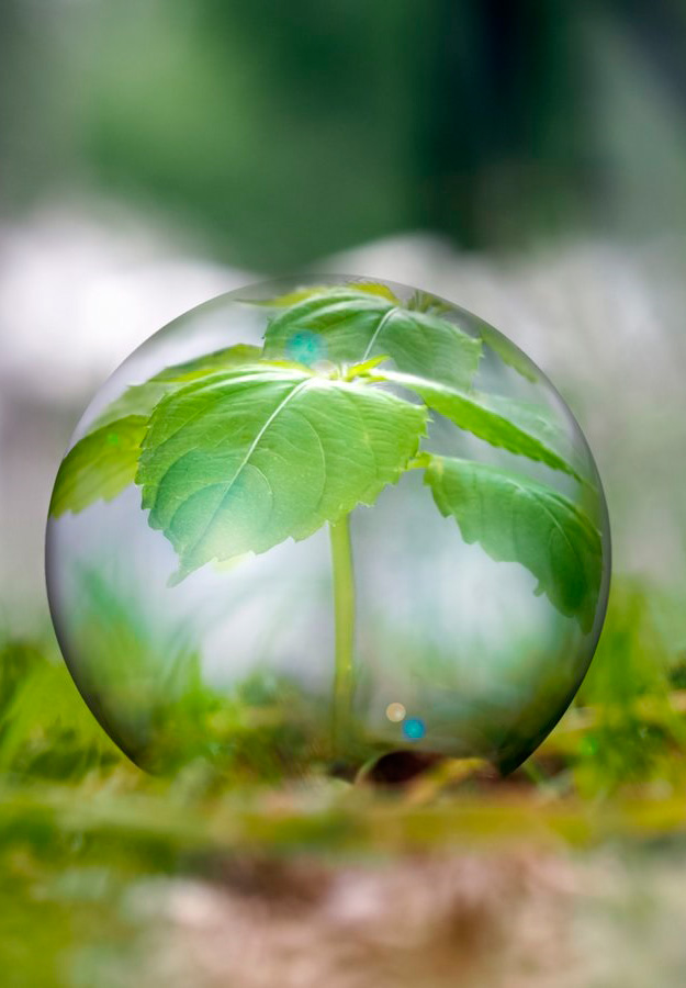imagen medio ambiente